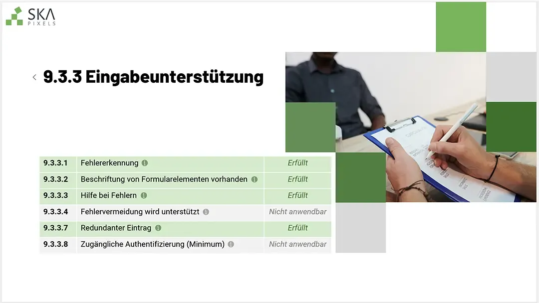 Screenshot aus dem Audit-Report zur Eingabeunterstützung