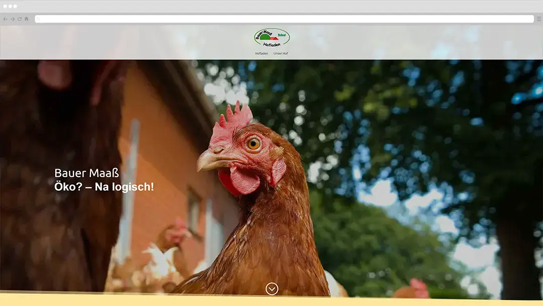 Startseite von bauer-maass.de mit Huhn und dem Slogan „Öko? – Na logisch!“